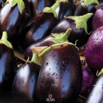 فروش ویژه بادمجان در بازار امروز