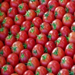 خرید به صرفه گوجه فرنگی فله ای با قیمت ارزان