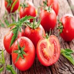 سفارش گوجه قرمز ترش مرغوب با قیمت ارزان در کرج