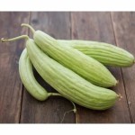 خرید خیار چنبر با قیمت باورنکردنی وبا کیفیت