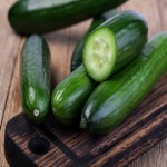 خرید خیار محلی با قیمت فوق العاده و بی واسطه با کیفیت بالا