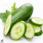 قیمت فروش خیار بوته ای ارگانیک با قیمت های استثنائی