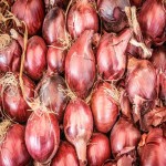فروش ارزان و بدون واسطه پیاز قرمز در بسته های 1 کیلویی