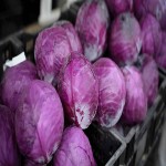 فروش عمده کلم پیچ بنفش با قیمت پایین در بازار