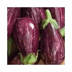 لیست قیمت بادمجان ممتاز در بسته بندی 2 کیلوگرمی