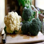 فروش بدون واسطه گل کلم تازه برای صادرات به ترکیه