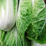 فروش عمده و قیمت مناسب کلم چینی تازه و درجه یک