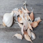 فروش عمده سیر خشک بسته بندی شده با بهترین کیفیت