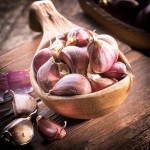 قیمت هر کیلو سیر در خرید عمده از تولید کننده