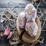 قیمت خرید عمده سیر خام از معتبرترین تولید کنندگان در ترکیه