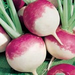 خرید انلاین شلغم درجه یک بسته بندی شده
