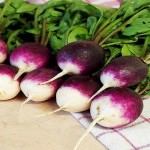 فروش عمده شلغم تازه در اصفهان باکیفیت صادراتی