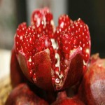 خرید و فروش انار شیرین و اعلاء با قیمت عالی و ارسال سریع