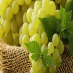 خرید عمده انگور شرابی بدون هسته با قیمت مناسب