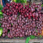 خرید لبو قرمز خونی با قیمت های مناسب و کیفیت اعلا