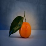 فروش ویژه نارنگی جنوب با قیمتی مناسب و کیفیتی بالا