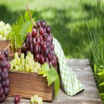 قیمت خرید عمده انگور سیاه شرابی از کشاورز