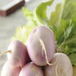 خرید شلغم ارگانیک بنفش مناسب خوراک دام