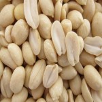 خرید بادام زمینی خام ارگانیک بدون پوست آستانه 100 گرمی