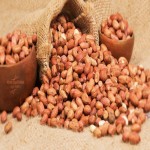 قیمت مغز بادام زمینی رست شده در طعم های مختلف