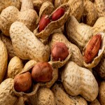 خرید بادام زمینی تازه خام و کامل در اصفهان