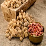 خرید بادام زمینی طبیعی نمکی و بو داده فله در روسیه
