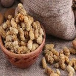 خرید محصول توت خشک به صورت عمده ای با قیمت مناسب