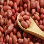 خرید بادام زمینی تهیه شده با نمک طبیعی بسته بندی بسیار بزرگ