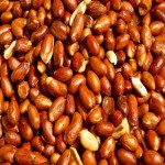 قیمت بادام زمینی برشته شده ترد و تازه آستانه اشرفیه