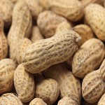 فروش مستقیم بادام زمینی با بهترین کیفیت وبدون واسطه