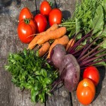 سفارش عمده لبو درجه یک به قیمت بسیار مناسب و رقابتی