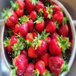 خرید عمده توت فرنگی گلخانه ای به صورت بسته بندی شده در بازار تبریز