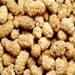توت خشک مرغوب و خوش طعم در بسته بندی یک کیلوگرمی