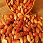 فروش بادام زمینی مناسب برای کره گیری