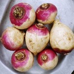 خرید شلغم ممتاز از میوه فروشی های منصف در اصفهان