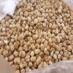 قیمت عمده توت خشک برای صادرات به خارج