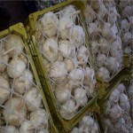 خرید سیر سبدی مرغوب در میدان تره بار اصفهان