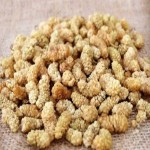فروش عمده ای محصول توت خشک در بهترین بسته بندی