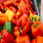 خرید و فروش فلفل دلمه ای به صورت تنی
