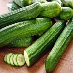فروش عمده ای با قیمت مناسب محصول خیار سبز قلمی
