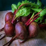 عرضه انواع محصول لبو قرمز خونی با کیفیت بالا