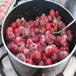 فروش آلبالو در اصفهان به صورت فریز شده