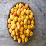 قیمت زردآلو تازه و شیرین در میادین میوه و تره بار