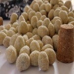 خرید بادام زمینی روکش دار با طعم پنیری