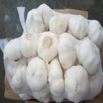 فروش سیر خشک با بسته بندی توری