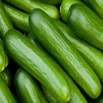 قیمت محصول خیار سالادی اصفهان در حجم عمده