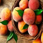 فروش ویژه هلو درجه یک و مرغوب به کمترین قیمت بازار