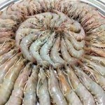 فروش حجم بالای میگو تازه دریایی با قیمت مناسب