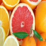 قیمت خرید گریپ فروت صادراتی به صورت عمده