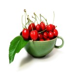 خرید بهترین نوع آلبالو موجود در بازار با قیمتی ارزان